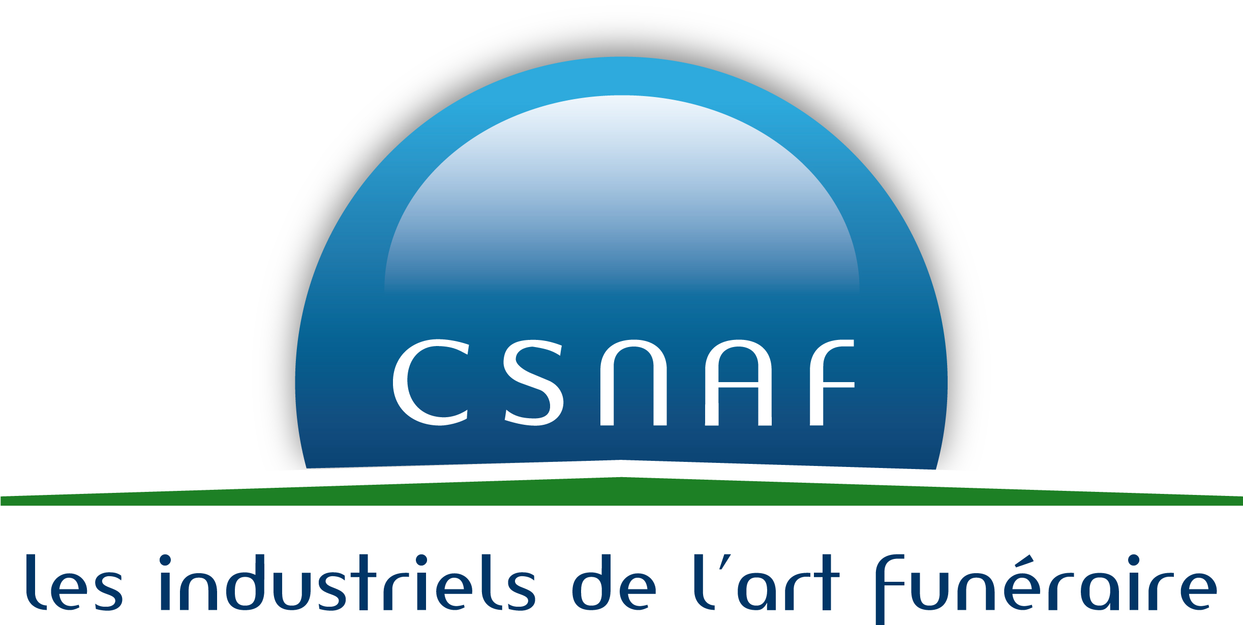 CSNAF